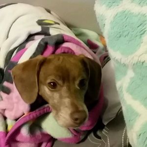 Meet your Posher, Annisa